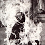 burnedbeyondrecognition