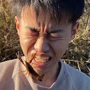 転生のぶりん