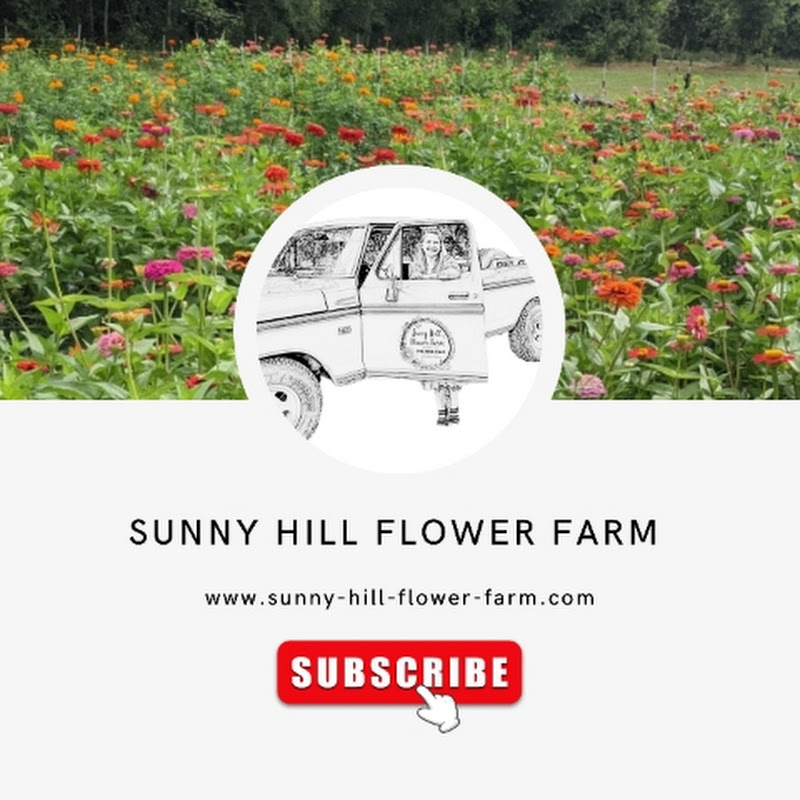 Sunny Hill Flower Farm