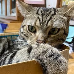 吉野ルカ@Sora Tori