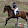 Horselover Gamergirl 200