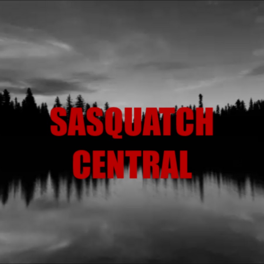 Sasquatch прохождение детектив