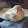 Dave Osbun