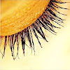 TheOtherSun