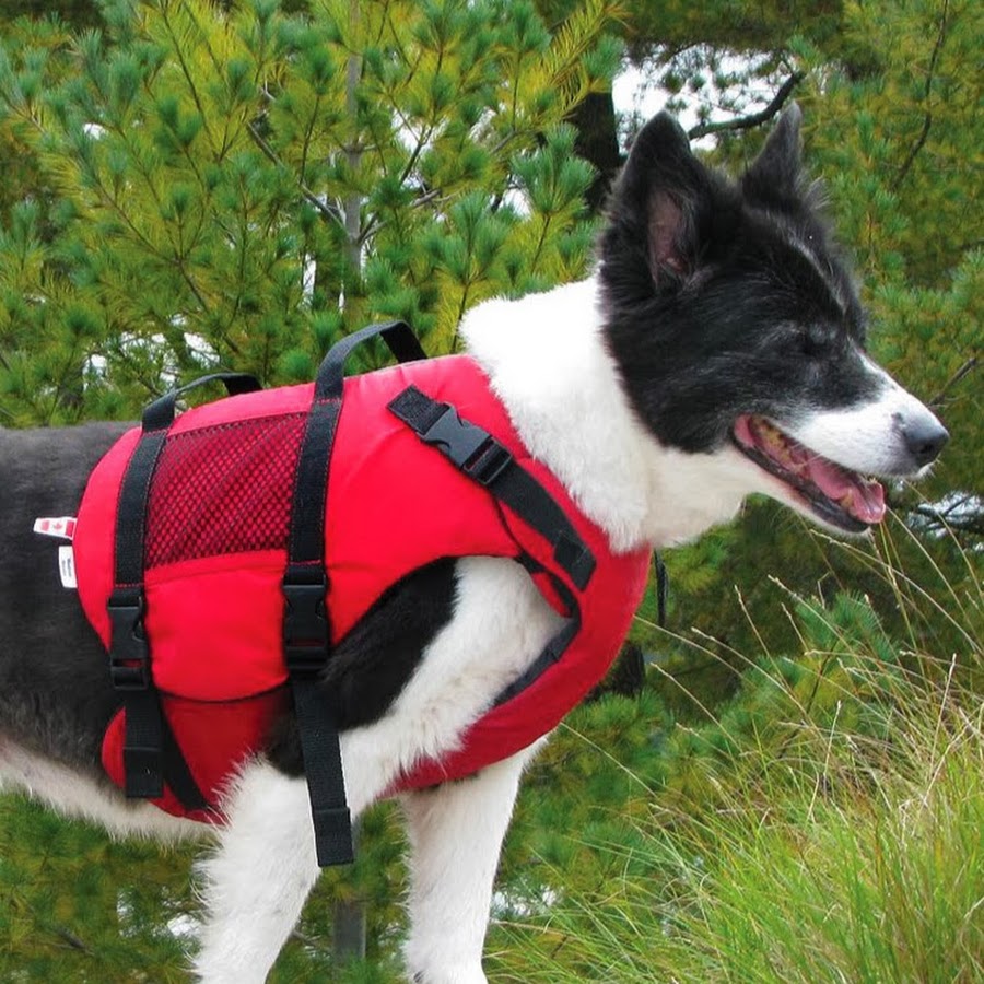 Salus Marine Wear Life JacketsLife VestsPFDs YouTube