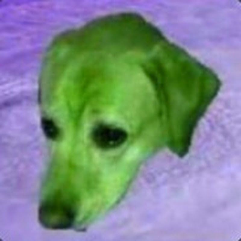 flipgod