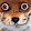 good fox