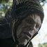 Corvus