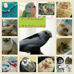 ミテラとゆかいな仲間たち