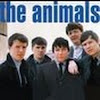 The Animals Tribute Channel