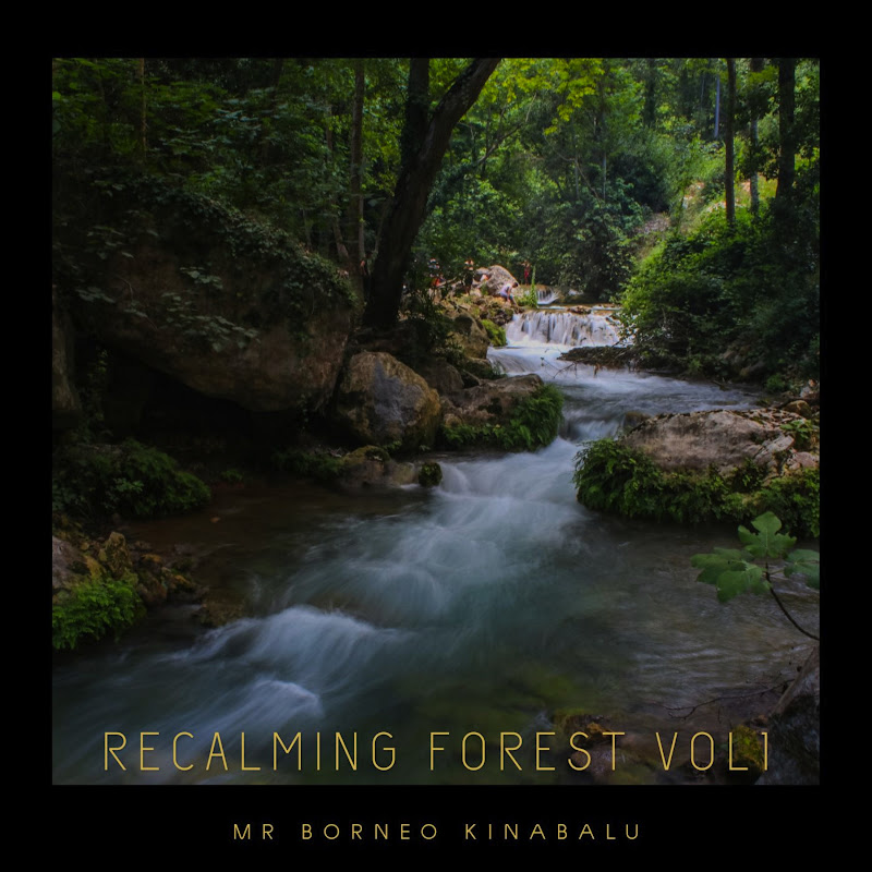 Mr. Borneo Kinabalu - Topic