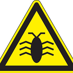 bra1nbug