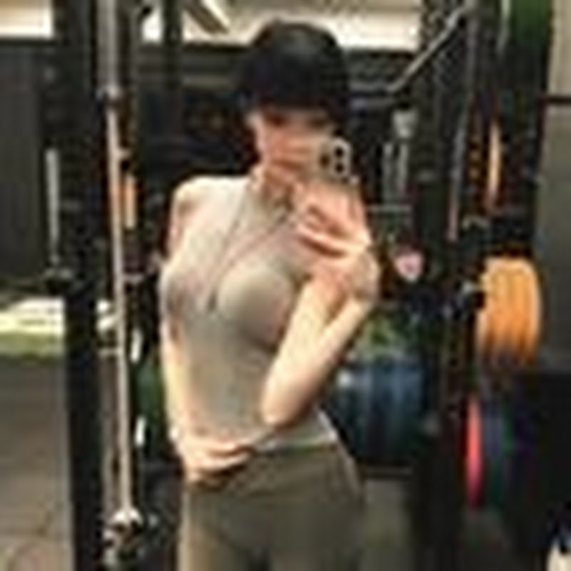 Angela 动物流