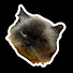 rHYESVaHXF8-channel-avatar-CharlayyyWR
