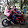 Dhete spena lovers