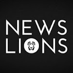 Newslions Media Net Worth