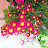 @garden2164
