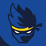 Ninjas Hyper