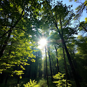 Divine Wholeness with Nataliya