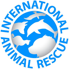International Animal Rescue IAR