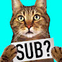 TheMeanKitty