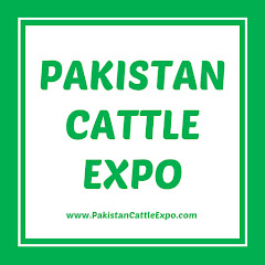 Pakistan Cattle Expo / Cow Mandi 2017