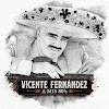vicentefernandez