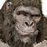 fb7B8hXUp6Y-channel-avatar-monkeriot