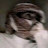 @ابوابراهيم-ش6ف3ص