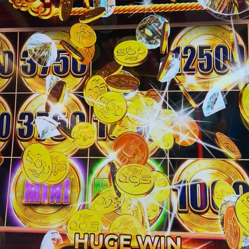 Jenny Spins icon