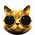Cat Vaska