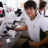 Mauricio Maumau