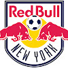 NYRBTrainingPrograms