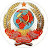 дамир рахматуллин