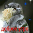 Наталья Трушкина