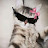 @GoGomonster23
