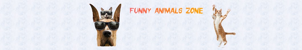 Funny animals zone YouTube 频道头像