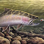 photo.jpg