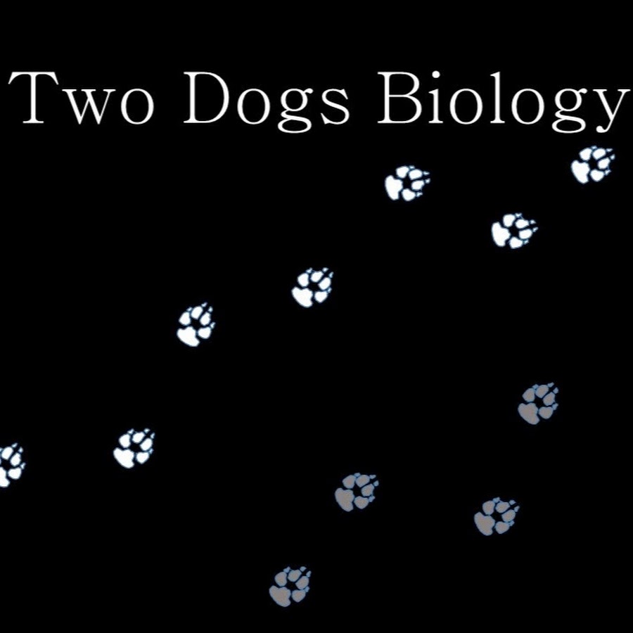 Two Dogs Biology YouTube
