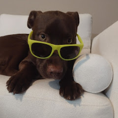 Thumbnail of related channel