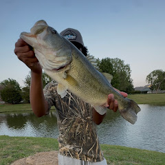 bassinwithashton