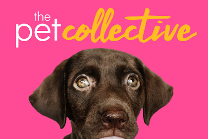 the pet collective tbd channel