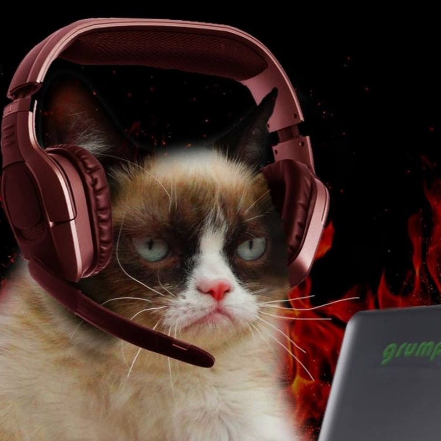 Grumpy Cat Gamer - YouTube
