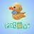 Patoys