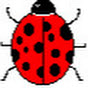 Ladybug Filk