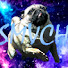 sautsag
