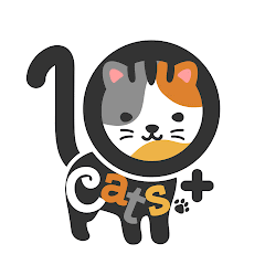 10 Cats.ᐩ