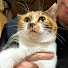 ndnMbYfd0BA-channel-avatar-ヒモねこchannel