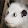 AWSOMEPOSSUM16