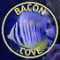 guY5jDCx8e8-channel-avatar-Bacon Cove